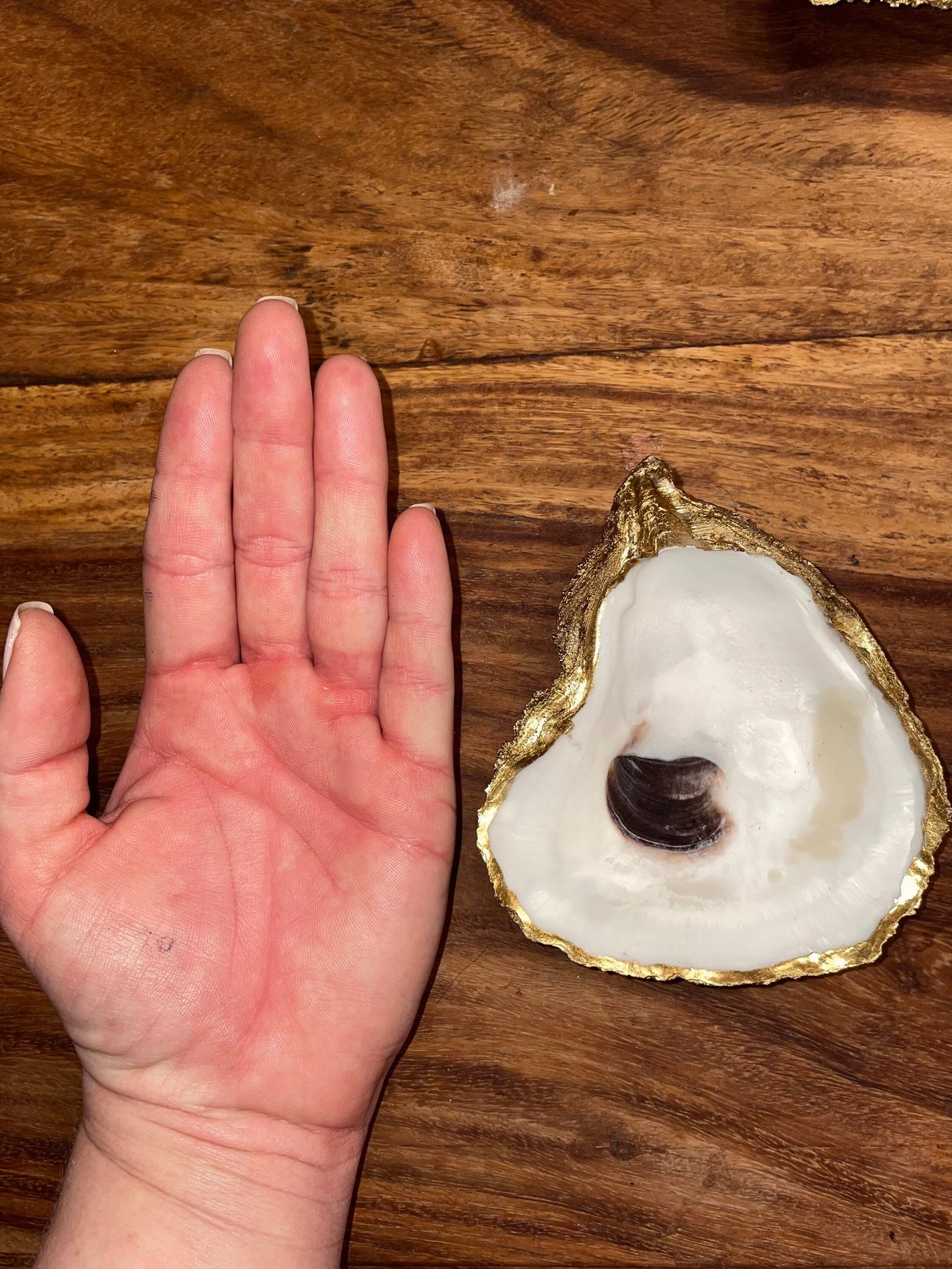 Natural Oyster Trinket Dish