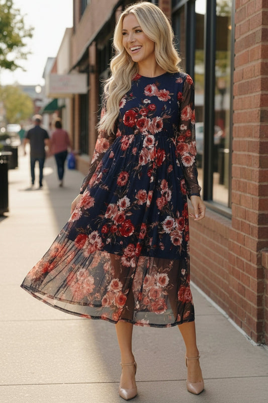 Rosy Romance Mesh Dress