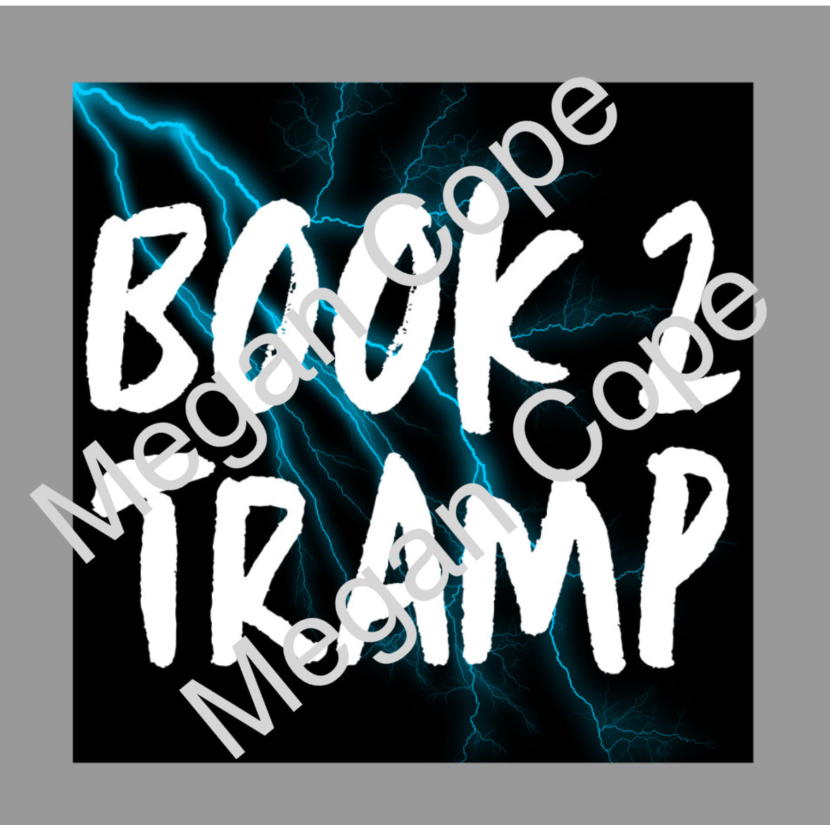 Book 2 tramp